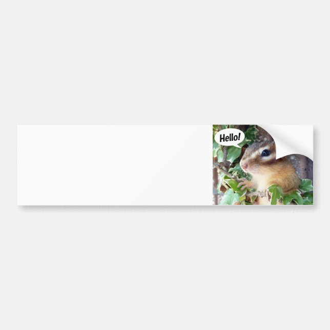 Chipmunk photo (20-4) bumper sticker (Front)