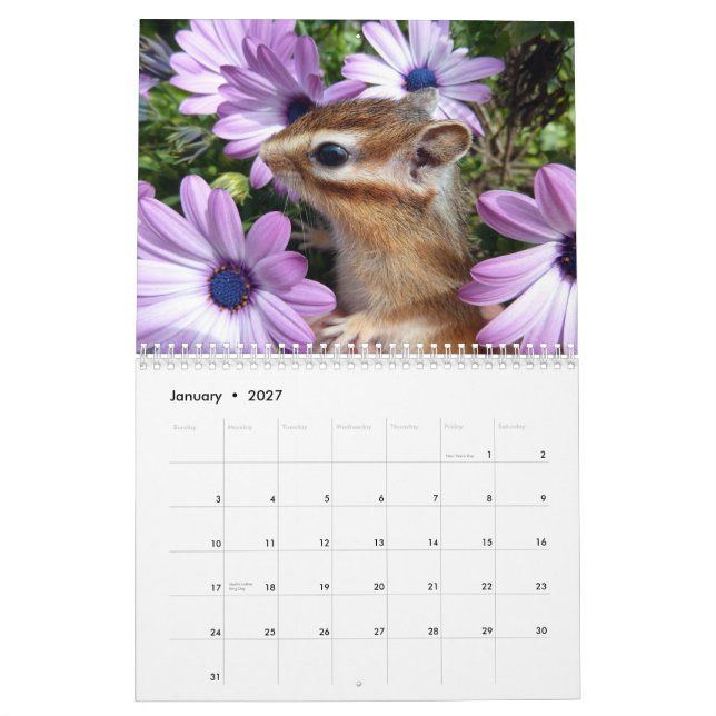 Chipmunk photo　(3) calendar (Jan 2027)