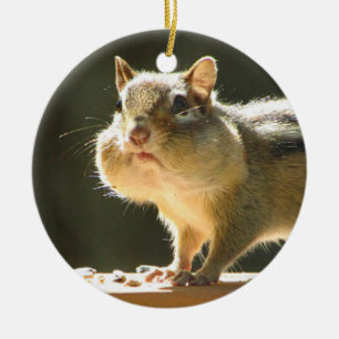 Chipmunk photo ceramic ornament