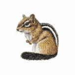 Chipmunk Photo Sculpture Ornament<br><div class="desc">A cute acrylic chipmunk ornament.</div>