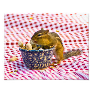 Chipmunk Picnic Photo Print