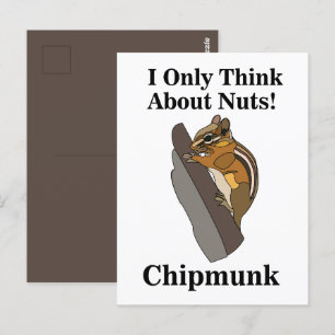 Chipmunk Rodent Funny Postcard