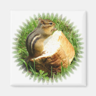 Chipmunk saying grace magnet