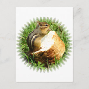 Chipmunk saying grace postcard
