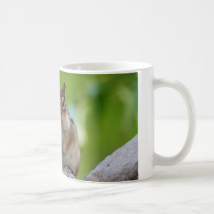 Chipmunk sitting on a rock coffee mug