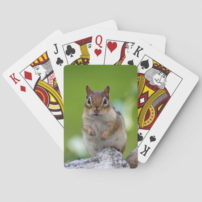 Chipmunk sitting on a rock playing cards (Back)