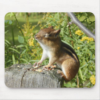 Chipmunk Soaking Up the Sun Mousepad