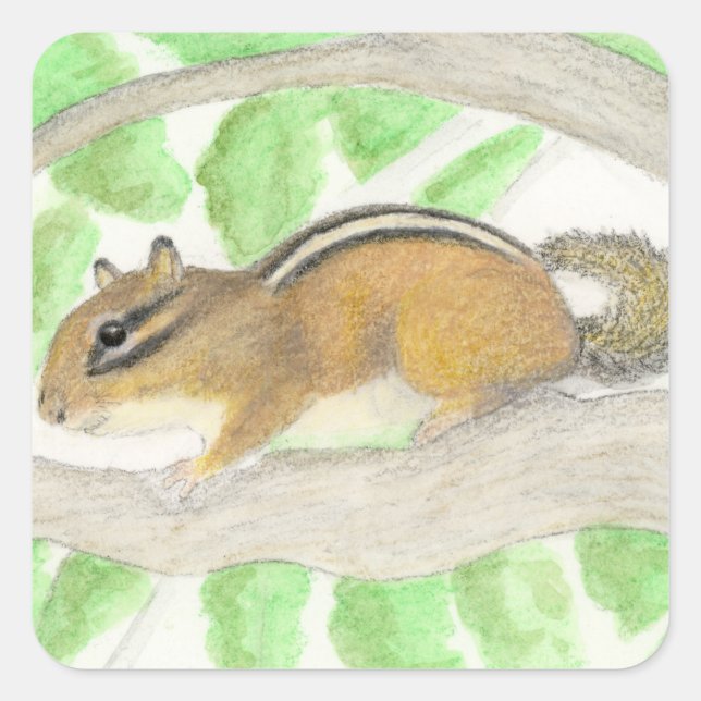 Chipmunk Square Sticker (Front)