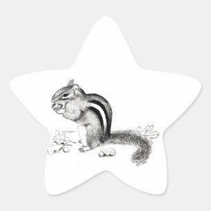 Chipmunk Star Sticker