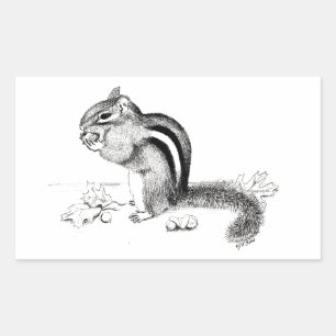 Chipmunk Sticker