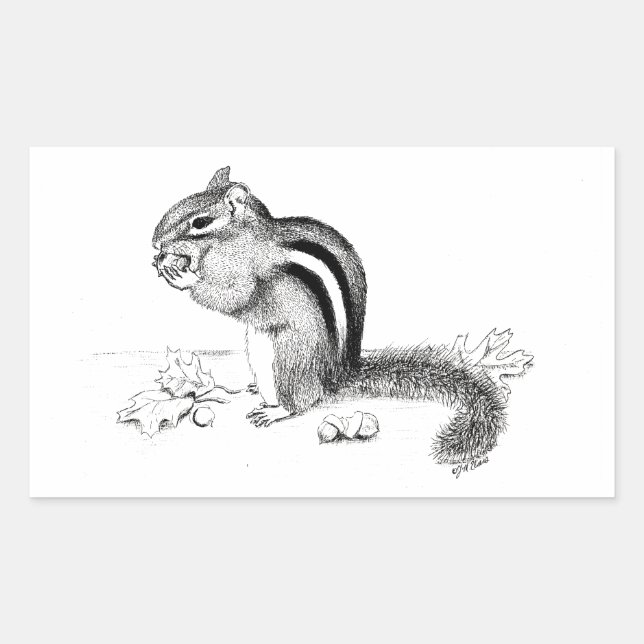Chipmunk Sticker (Front)