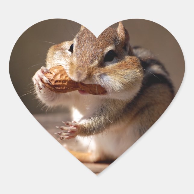 Chipmunk Stuffing His Face Heart Sticker (Front)