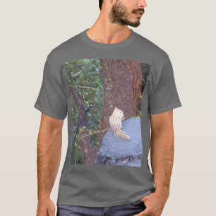 Chipmunk Sur Un T-Shirt De Trump D'Arbre
