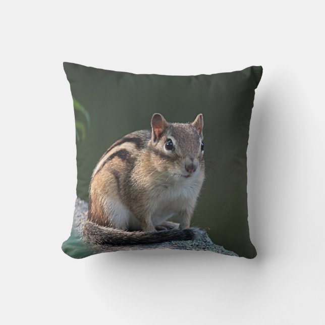 Chipmunk Throw Pillow (Front)