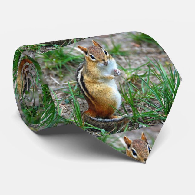 Chipmunk Tie (Rolled)