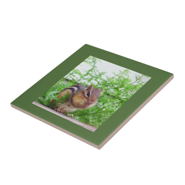 Chipmunk Tile (Side)