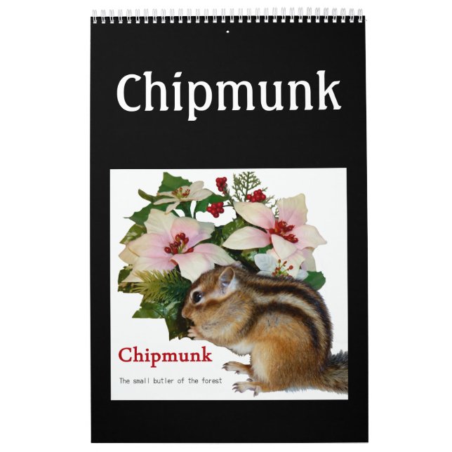 chipmunk  (USA) Calendar (Cover)