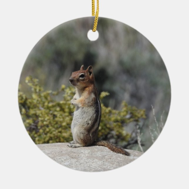 Chipmunk, wildlife, ceramic ornament (Front)