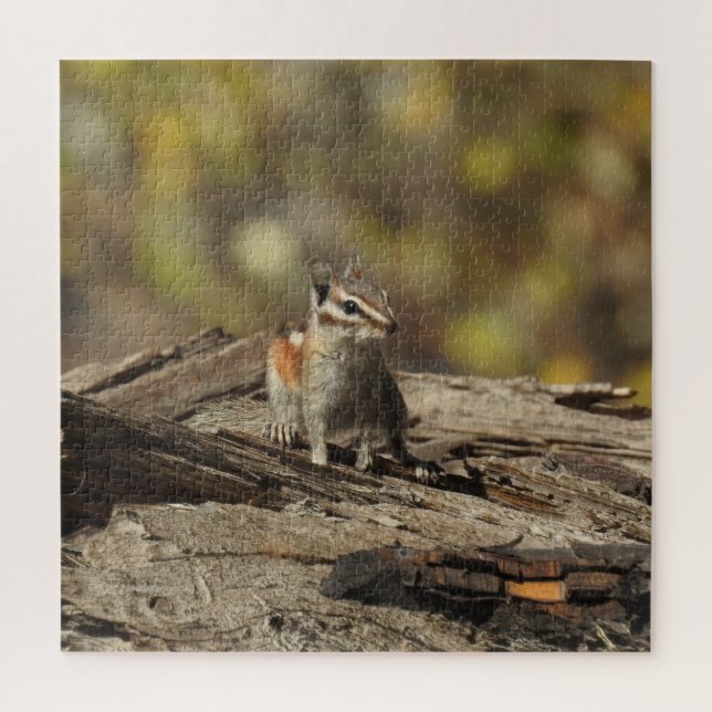Chipmunk, wildlife, puzzle (Vertical)