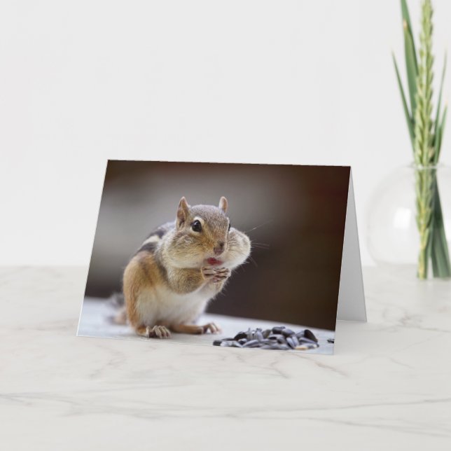 Chipmunk with Cheeks Full Photo Card (Front)