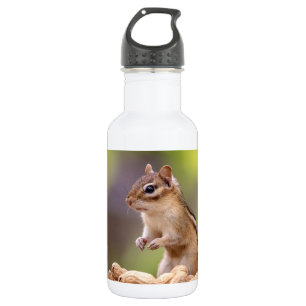 Chipmunk with peanuts 532 ml water bottle