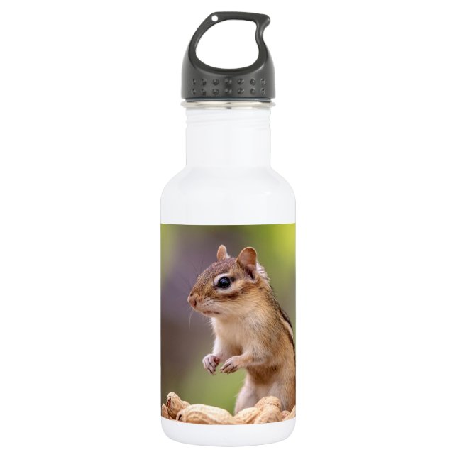 Chipmunk with peanuts 532 ml water bottle (Front)