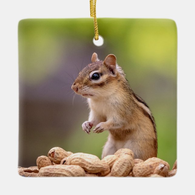 Chipmunk with peanuts ceramic ornament (Front)