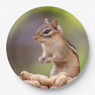 Chipmunk with peanuts paper plate