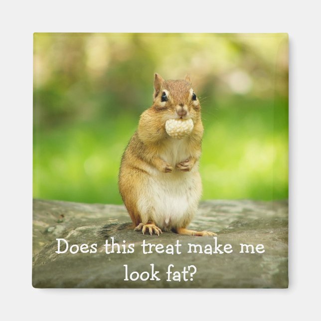 Chipmunk with treat magnet (Front)