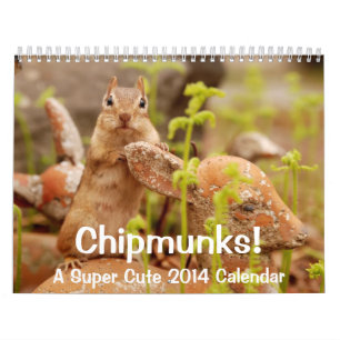 Chipmunks! A Super Cute 2014 Wall Calendar