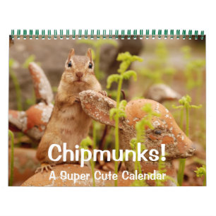 Chipmunks! A Super Cute Wall Calendar