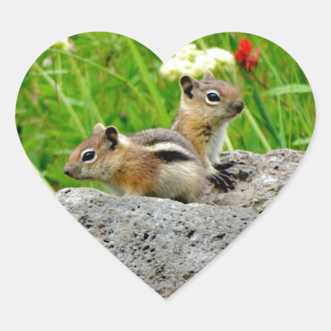 Chipmunks and wildflowers heart sticker (Front)
