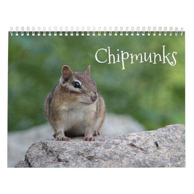 Chipmunks Calendar (Cover)