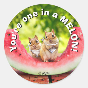 Chipmunks Eating Watermelon Classic Round Sticker
