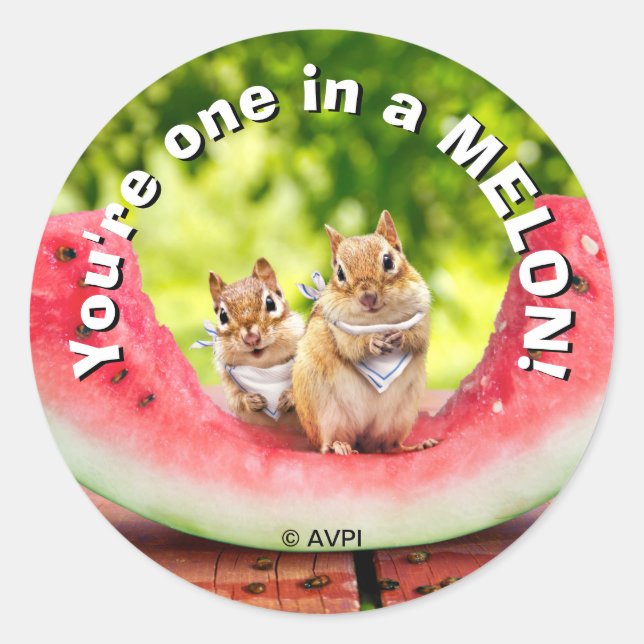 Chipmunks Eating Watermelon Classic Round Sticker (Front)