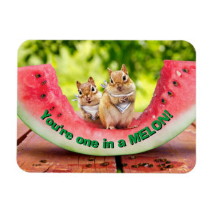 Chipmunks Eating Watermelon Magnet