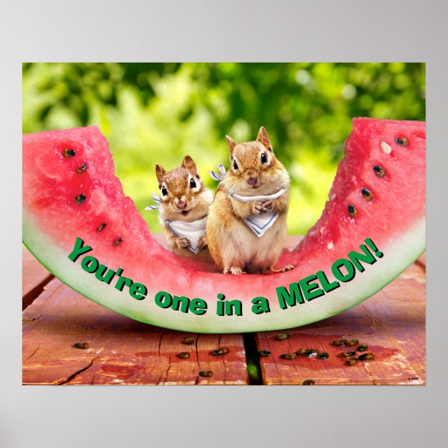 Chipmunks Eating Watermelon Poster (Front)