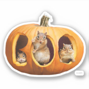 Chipmunks Inside Boo Jack-o-Lantern