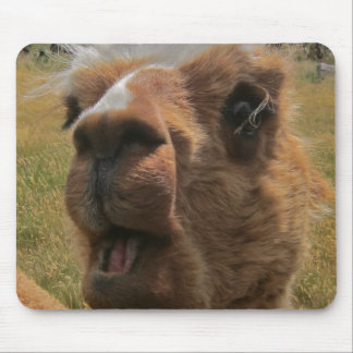 Chipper Alpaca Mouse Pad