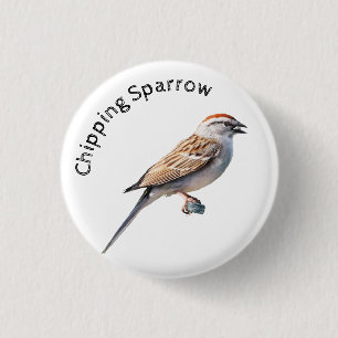 Chipping Sparrow 1 Inch Round Button