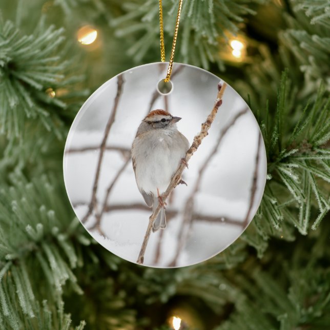 Chipping Sparrow | Ceramic Ornament (Tree)