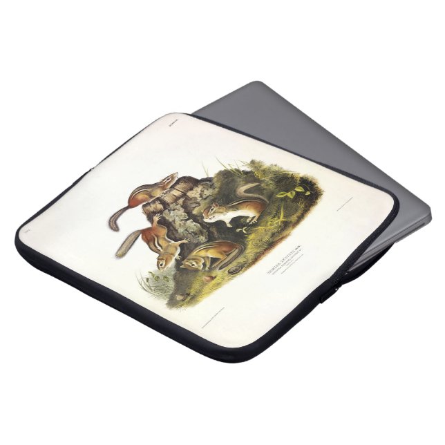 Chipping Squirrel ( Eastern Chipmunk ) by Audubon Laptop Sleeve (Front Top)