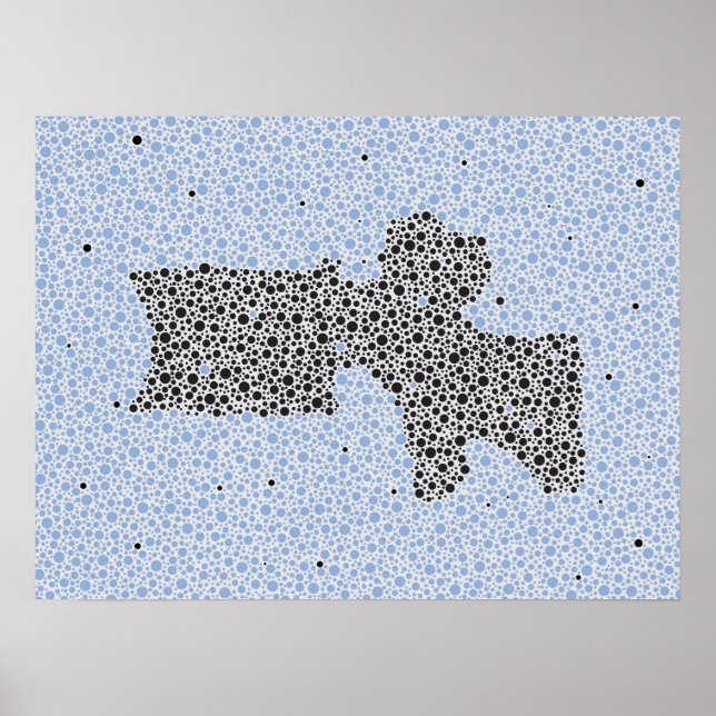 Chiropractic Anatomy Artwork Lumbar Vertebrae Poster (Front)