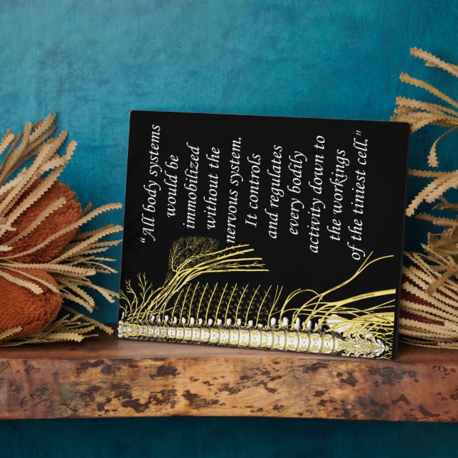 Chiropractic Nervous System Quote Easel Plaque (Side)