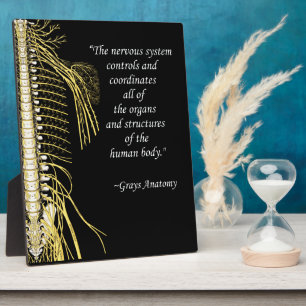 Chiropractic Nervous System Quote Easel Plaque