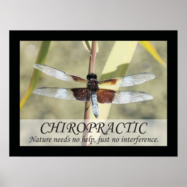 Chiropractic Quotes and Sayings Nature Poster (Front)