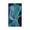 Chiropractor Business Card