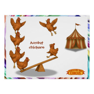 Chirpy Chickens acrobat squad Poster
