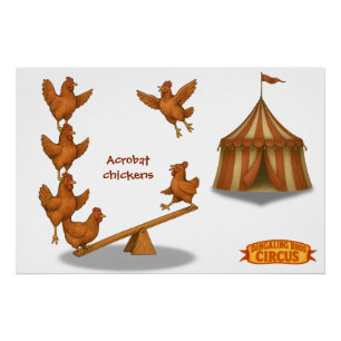 Chirpy Chickens acrobat squad Poster