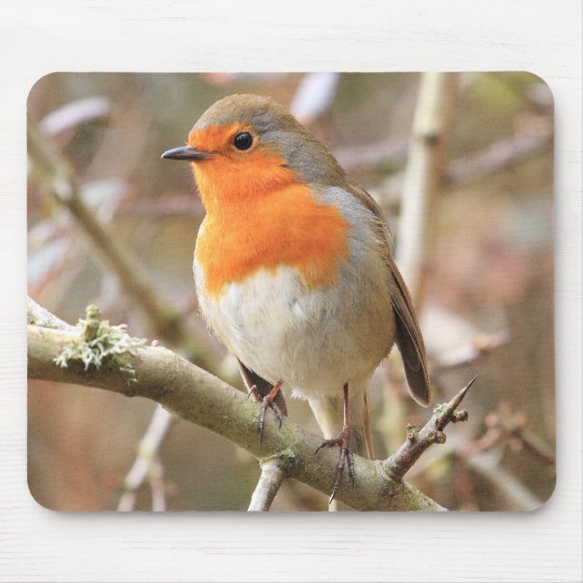 Chirpy Robin Mouse Pad (Front)
